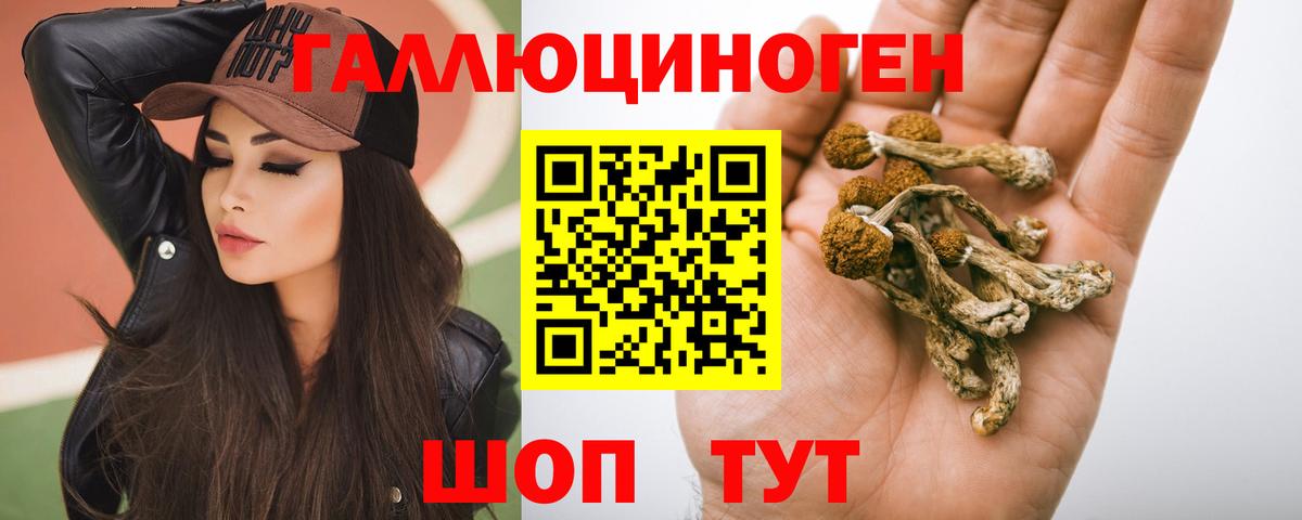 Новоалександровск  Галлюциногенные грибы прущие грибы  Галлюциногенные грибы GOLDEN TEACHER  Вход с VPN 