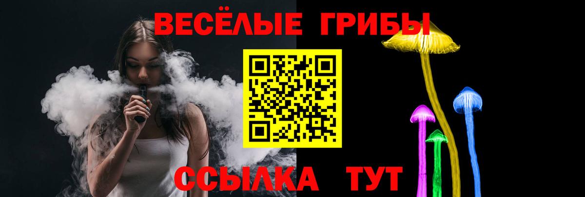 Псилоцибиновые грибы MAGIC MUSHROOMS Новоалександровск